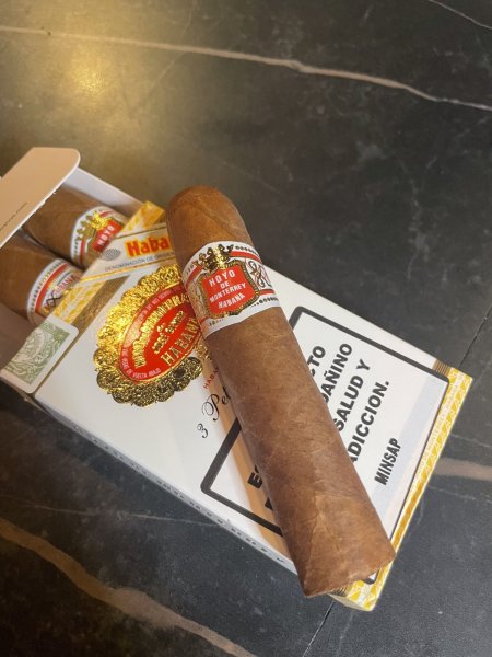 画像1: ホヨードゥ モントレー // ペティロブスト (1)